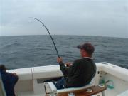 Sportfishing Cape Cod